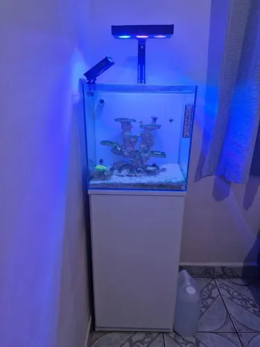 Aquario Marinho 