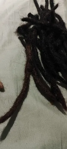 Dreads Humano
