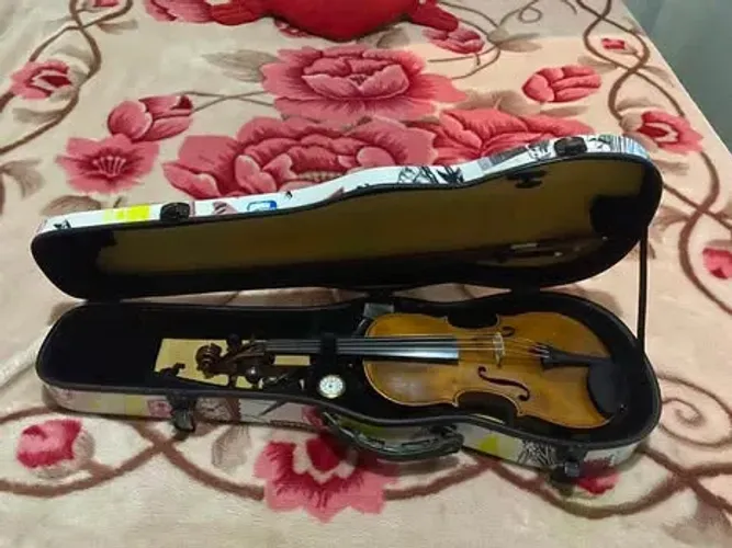 Violino Americano Profissional
