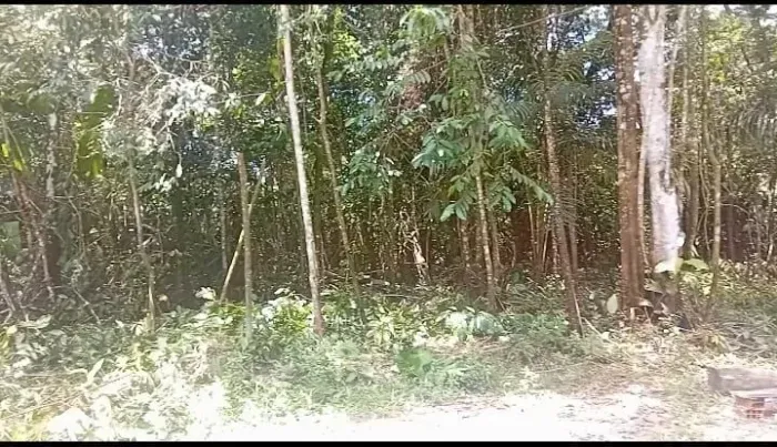 Quero vender porque não tenho tempo de ir para lá tem igarape bem próximo do tereno