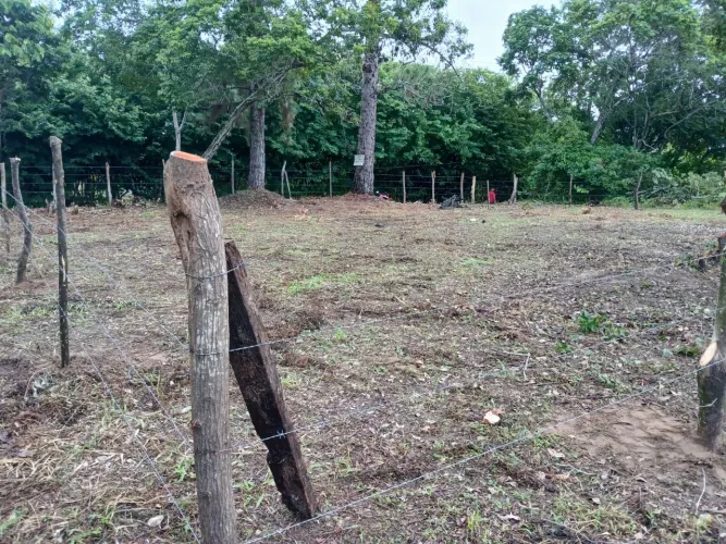 Terreno em Barra de Jacuipe 