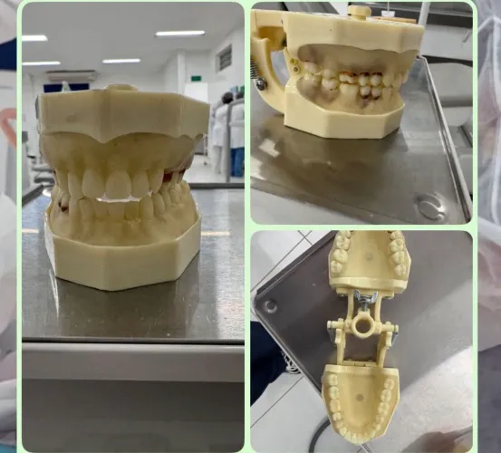 Manequim odontológico