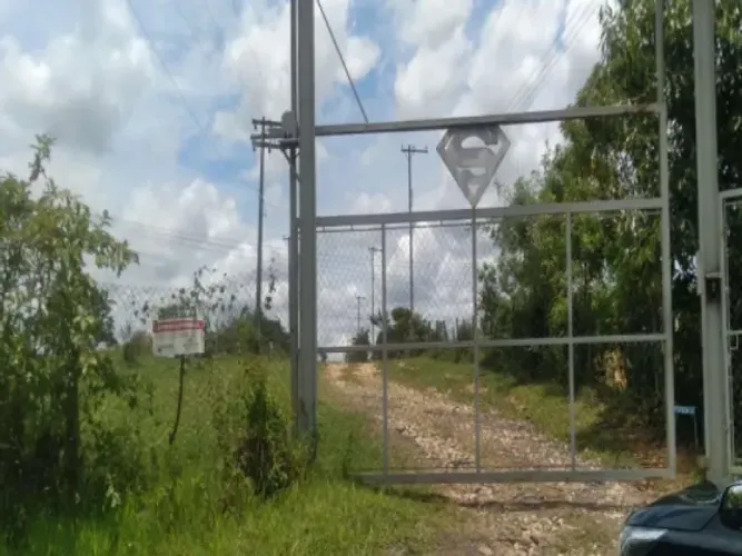 Área, Rural, Cruz das Almas - 30.978m²