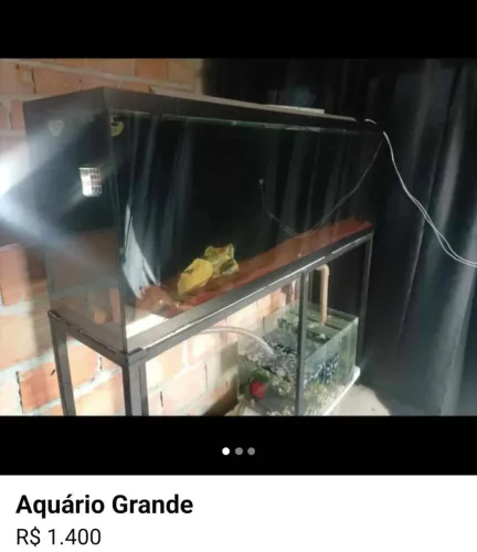 Aquário grande