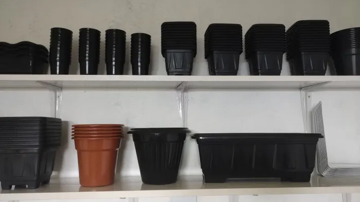 Vasos para plantas 