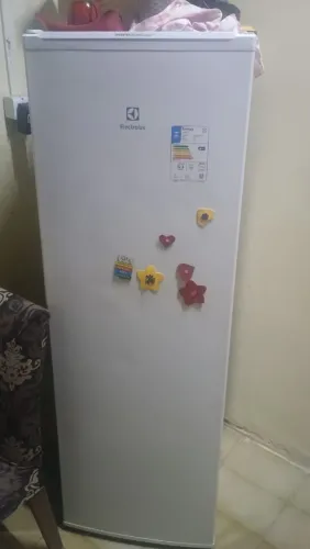 Freezer Vertical Electrolux 234\ L Perfeito