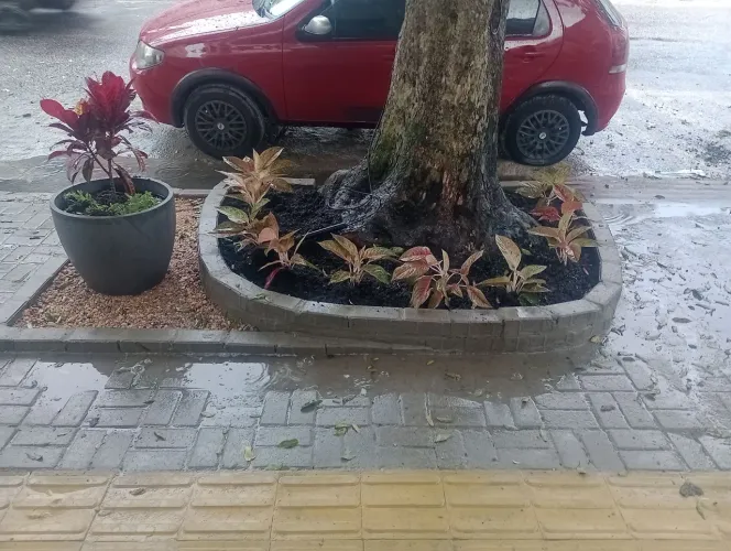  jardineiro. 