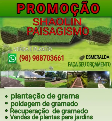 Grama promocional 