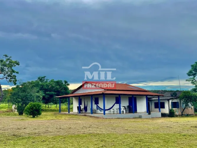 Fazenda 1.402 Hectares Arinos - MG