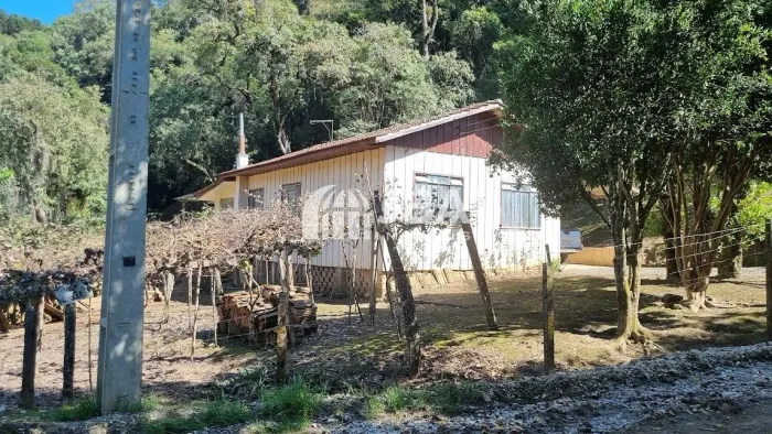 A TRANQUILIDADE DO CAMPO, PERTINHO DE CURITIBA!