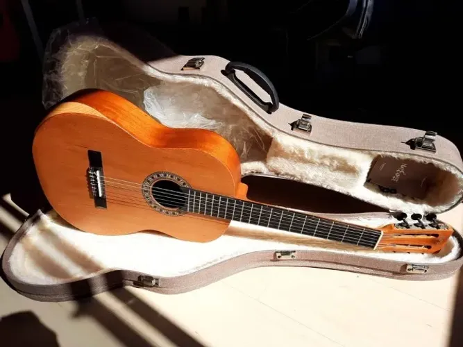 Violão Rozini Custom Rx 230