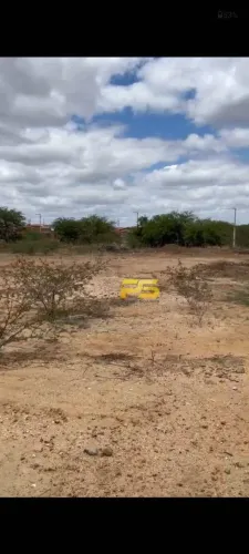 Área com 2 Hectarias à Venda Centro de Nova Palmeira/PB