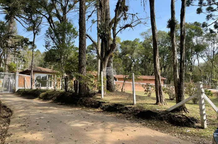 Vendas Chácara Quatro Barras PR