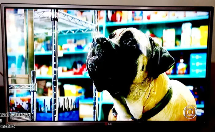 Tv lg 3D 32,com 4 óculos dando rápidas pausas, imagem de alta definição,pega fones de ? 