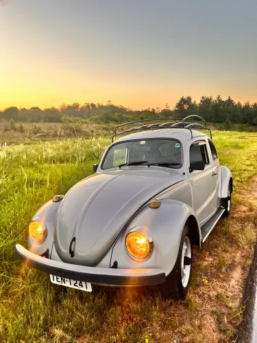 Volkswagen Fusca Fusca (gasolina) 1996