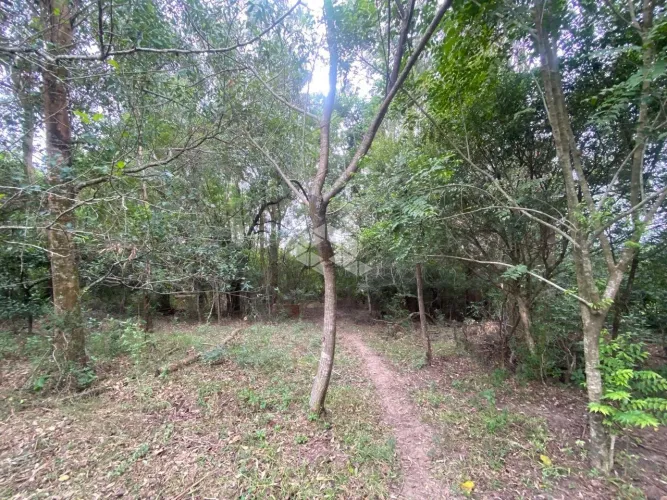 Terreno a venda no bairro Diácono João Luiz Pozzobon