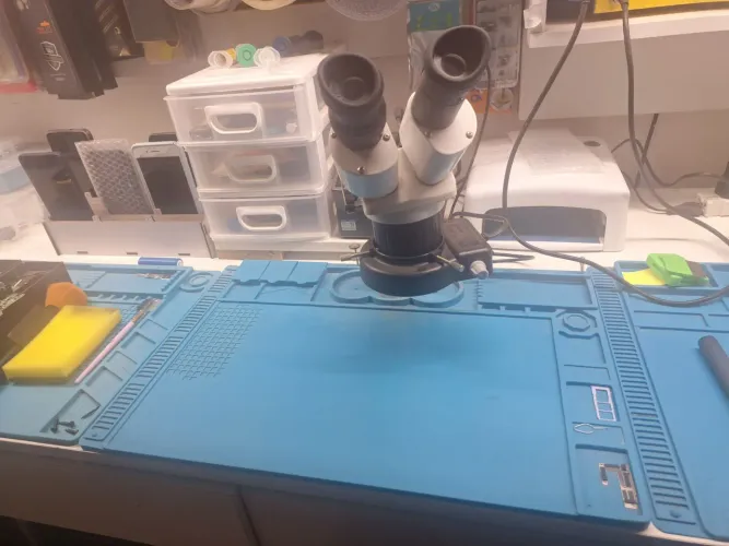 Vendo microscópio. 
