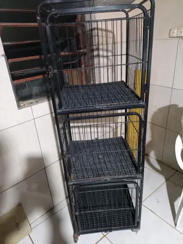 CANIL GAIOLA 3 LUGARES