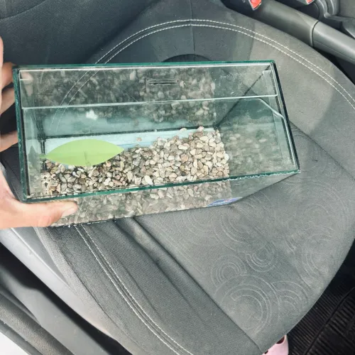 Aquário para venda com todos os acessórios