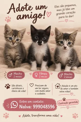 Lindos gatinhos para adoção.