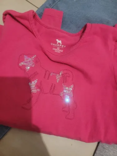 Lote roupa menina tamanho 10