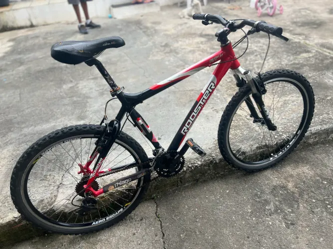 Bicicleta 
