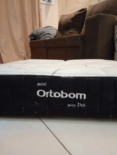 Cama pet