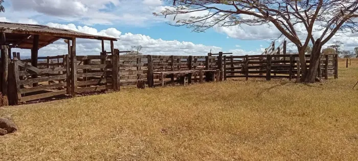 Fazenda à Venda 34 Alqueires, Toda Formada, a 50 km de Formosa/GO