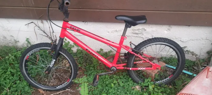 Bicicleta infantil