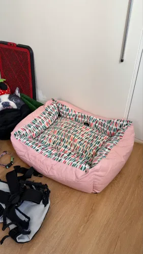 Kit pet cama bebedouros coleiras