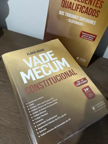 Vade Mecum Constitucional - Flavia Bahia