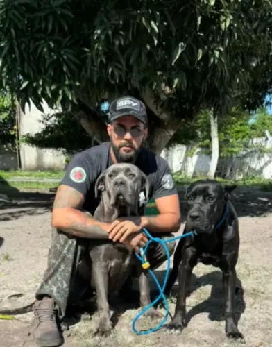 Adestramento canino e reabilitação comportamental