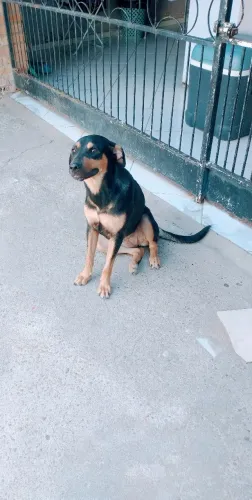 Doação
