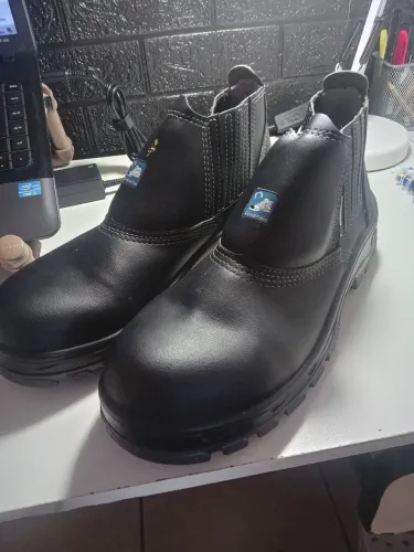 Bota