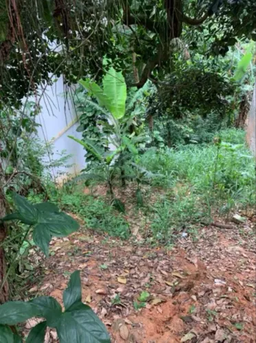 Terreno Freguesia - Jacarepaguá