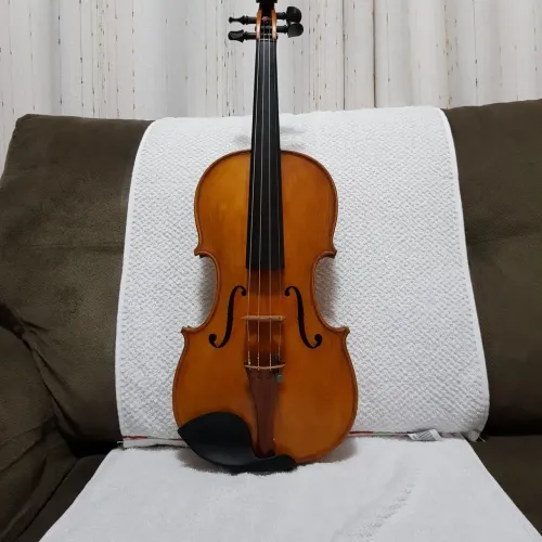 Violino profissional