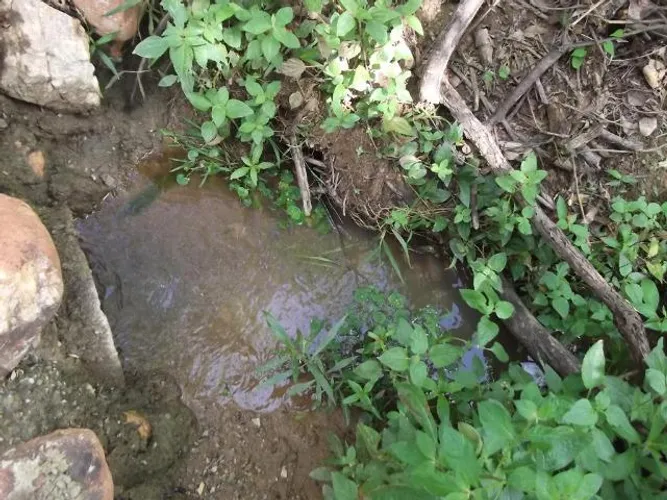 Serra do Cipo, chácara com nascente a 100 metros do Rio Cipó WhTSApp * Guilherme