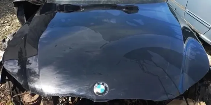Capo Bmw 545i V8 2006