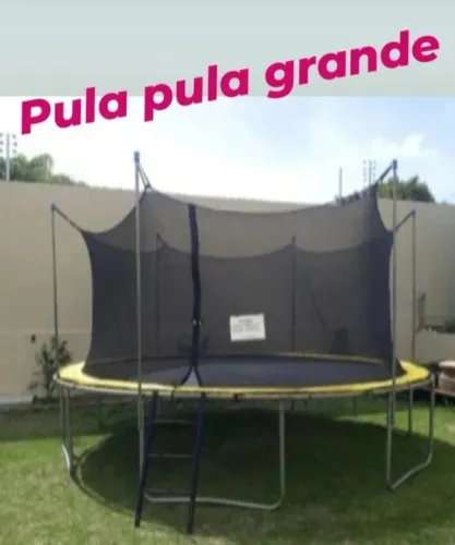 Pula pula grande
