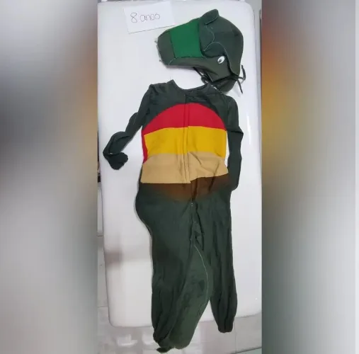 Fantasia Jacaré/Dinossauro 8 Anos