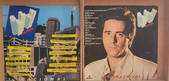 Novela Selva De Pedra - Disco De Vinil - Lp - 1986