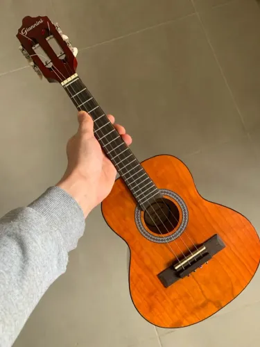 Cavaquinho Acústico Giannini Cavaco Cs-14n Cor Natural