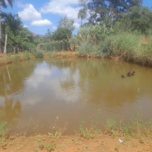 Terreno com lagoa