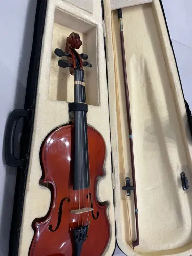 Violino