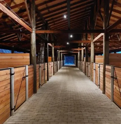 Haras na Serra da Mantiqueira - Pronto para Usar