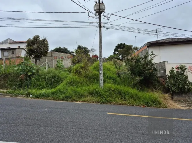 Excelente Terreno no Tingui