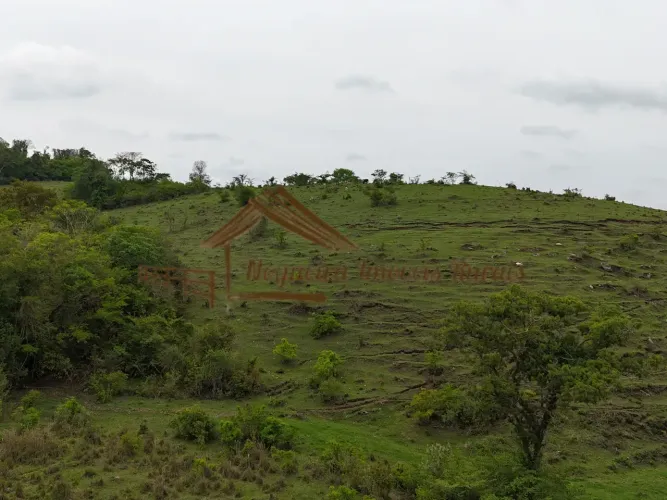 Sitio com 14 alqueires na região de Guareí-SP