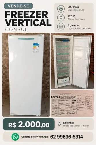 Freezer Vertical Consul 200L 220V - Seminovo - R$ 2.000