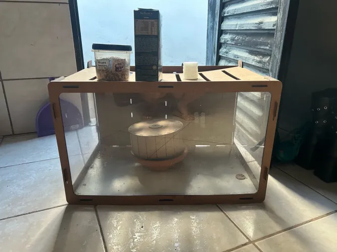 Terrário hamster
