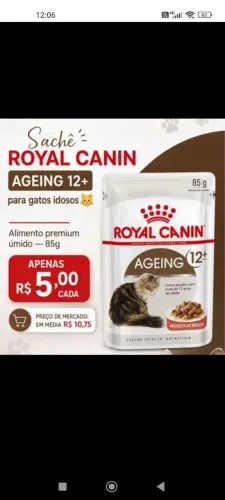 Sache para gatos 